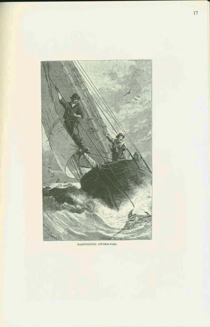 19th century whaling tales. vist0089h
